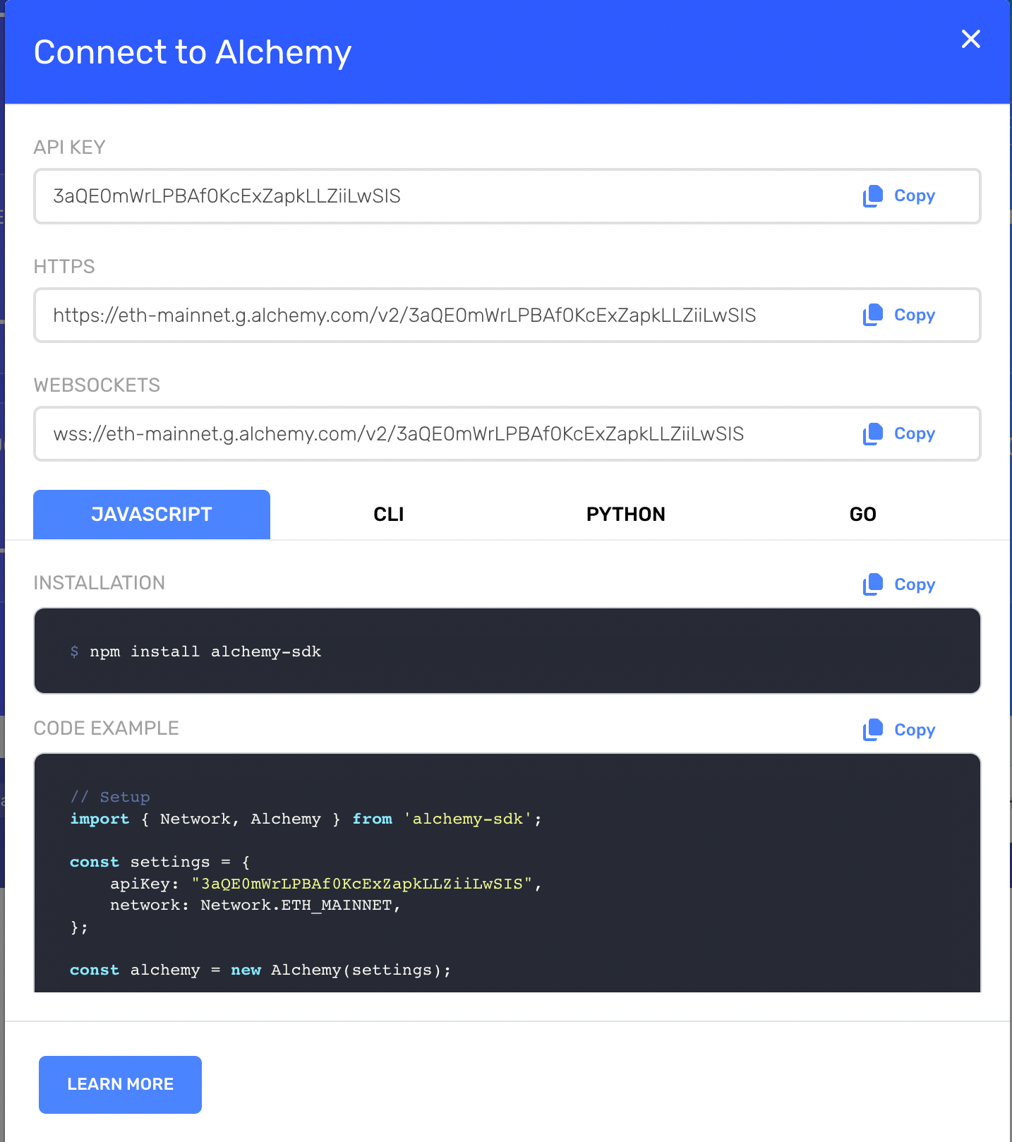 Alchemy API Key View